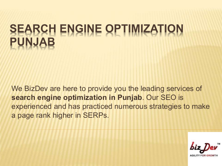 Search Engine Optimization Punjab