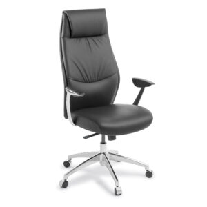 Ergonomic Chair NZ | Shop Online Ergonomic Chairs in NZ