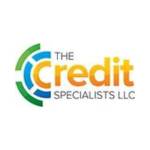 Credit Specialists Profile Picture
