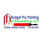 Budget Pro Painting Remodeling LLC Profile Picture