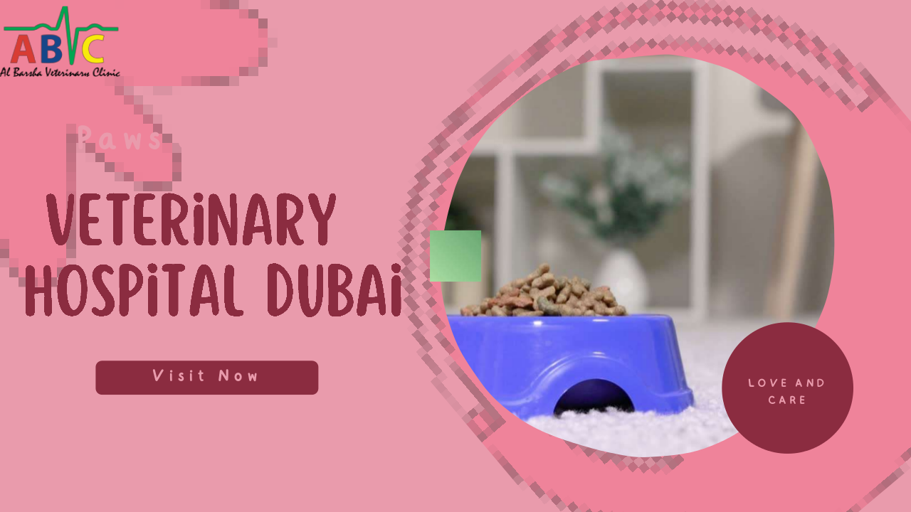 Al Barsha Veterinary Clinic - Your Trusted Veterinary Clinic in Dubai