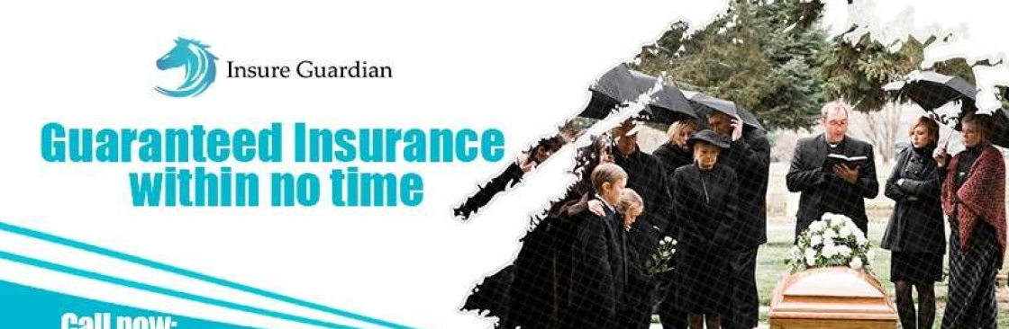 Insure Guardian Cover Image