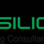 Silicon Engineering Consultants Pvt Ltd Profile Picture