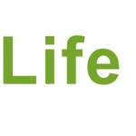 Mlife insurance Profile Picture