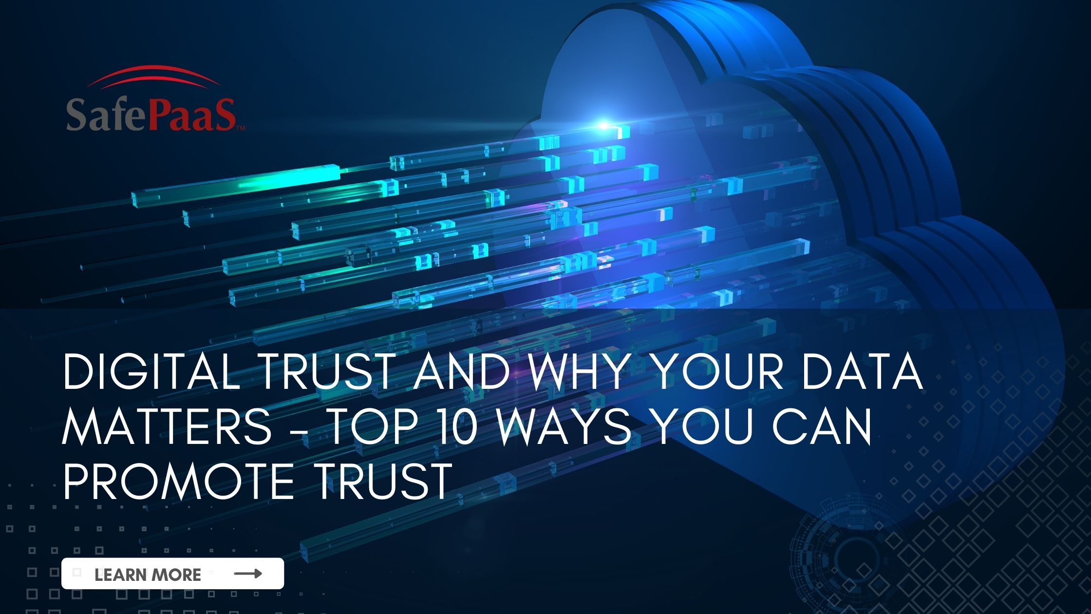 Digital Trust and Why Your Data Matters - SafePaaS