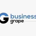 Business Grape Profile Picture