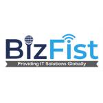 Bizfist IT Solutions Profile Picture