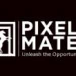 Pixel Mate Expo Profile Picture