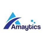 Amaytics Digital Services Pvt Ltd Profile Picture