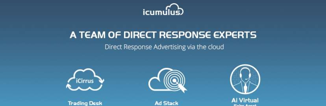 iCumulus B2B Demand Generation Cover Image