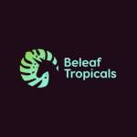 Beleaf Tropicals Profile Picture