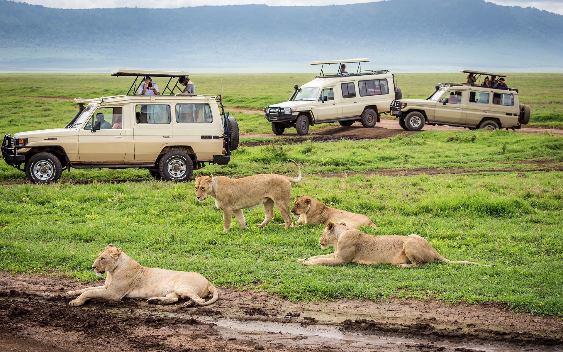Kenya Safari Vacation Packages