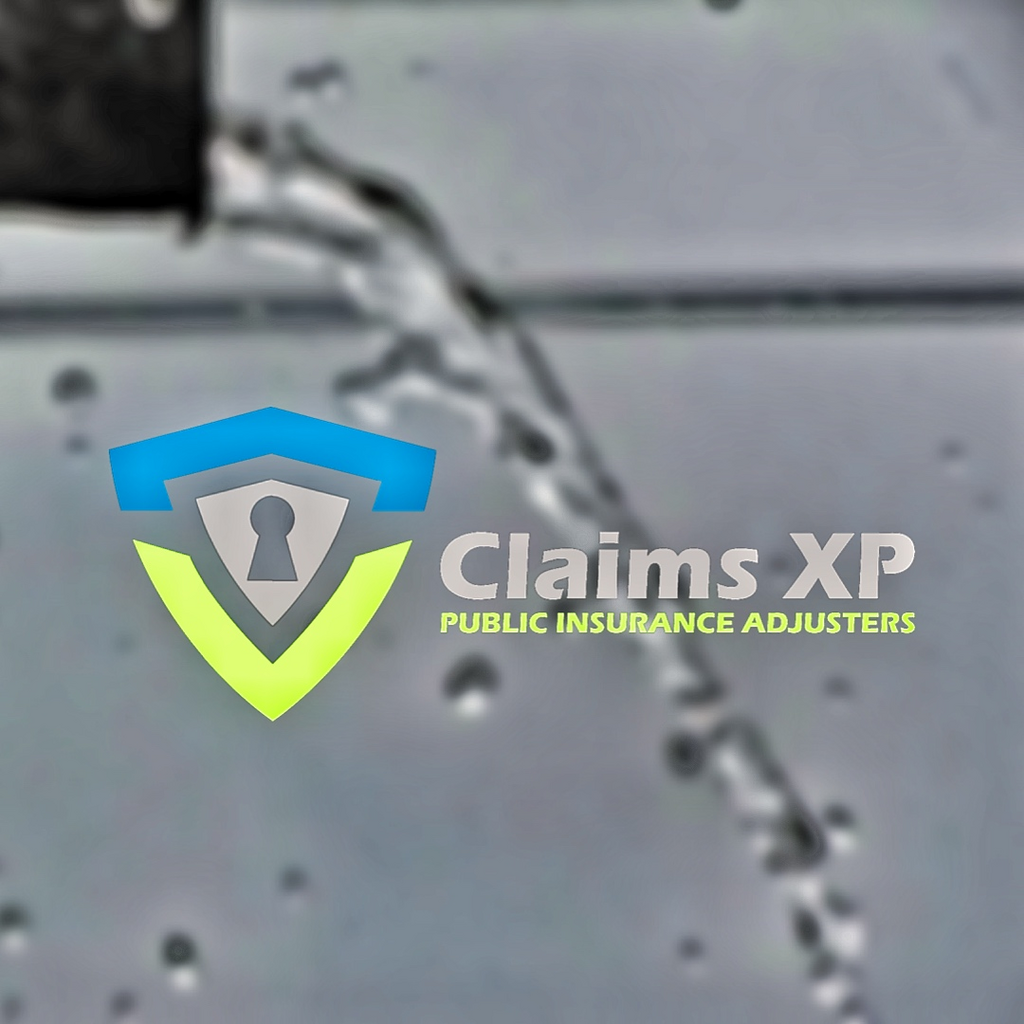 Why a Public Adjuster Can Be Your Hero When Disaster Strikes | by claimsxp | Apr, 2024 | Medium