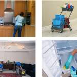 L & L Home Cleaning Coral Springs Profile Picture
