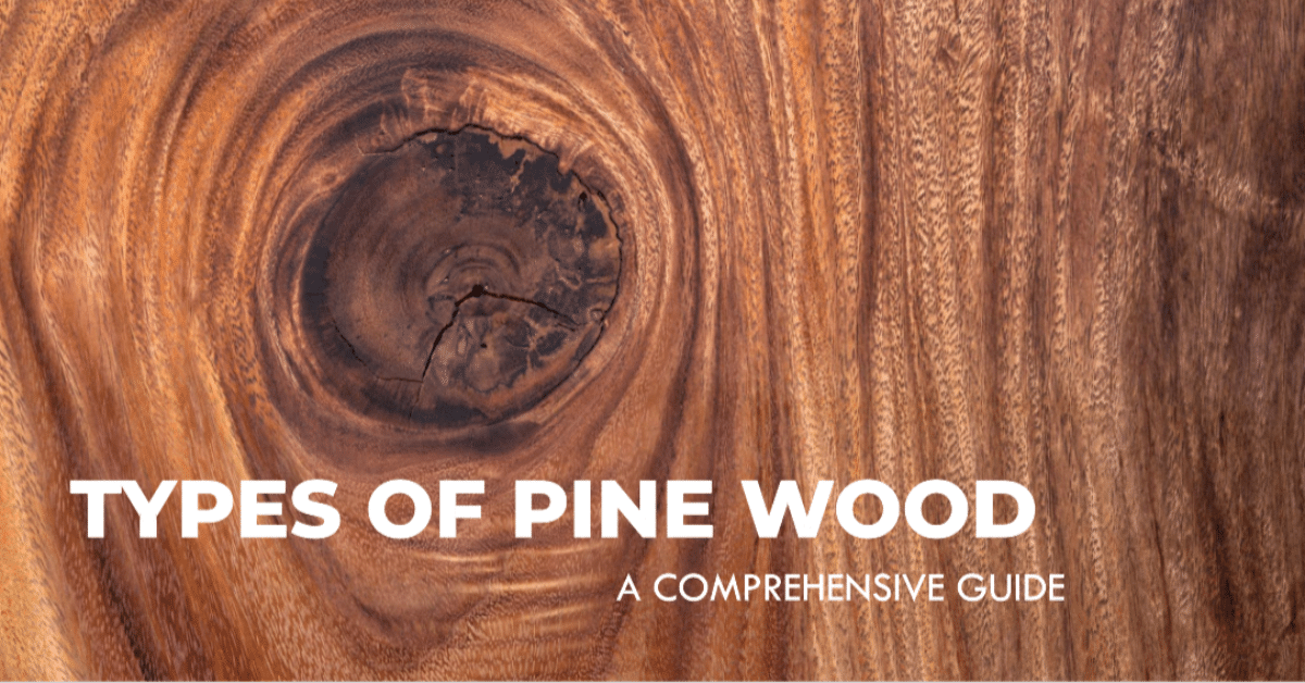 Exploring 20 Different Types of Pine Wood in Detail