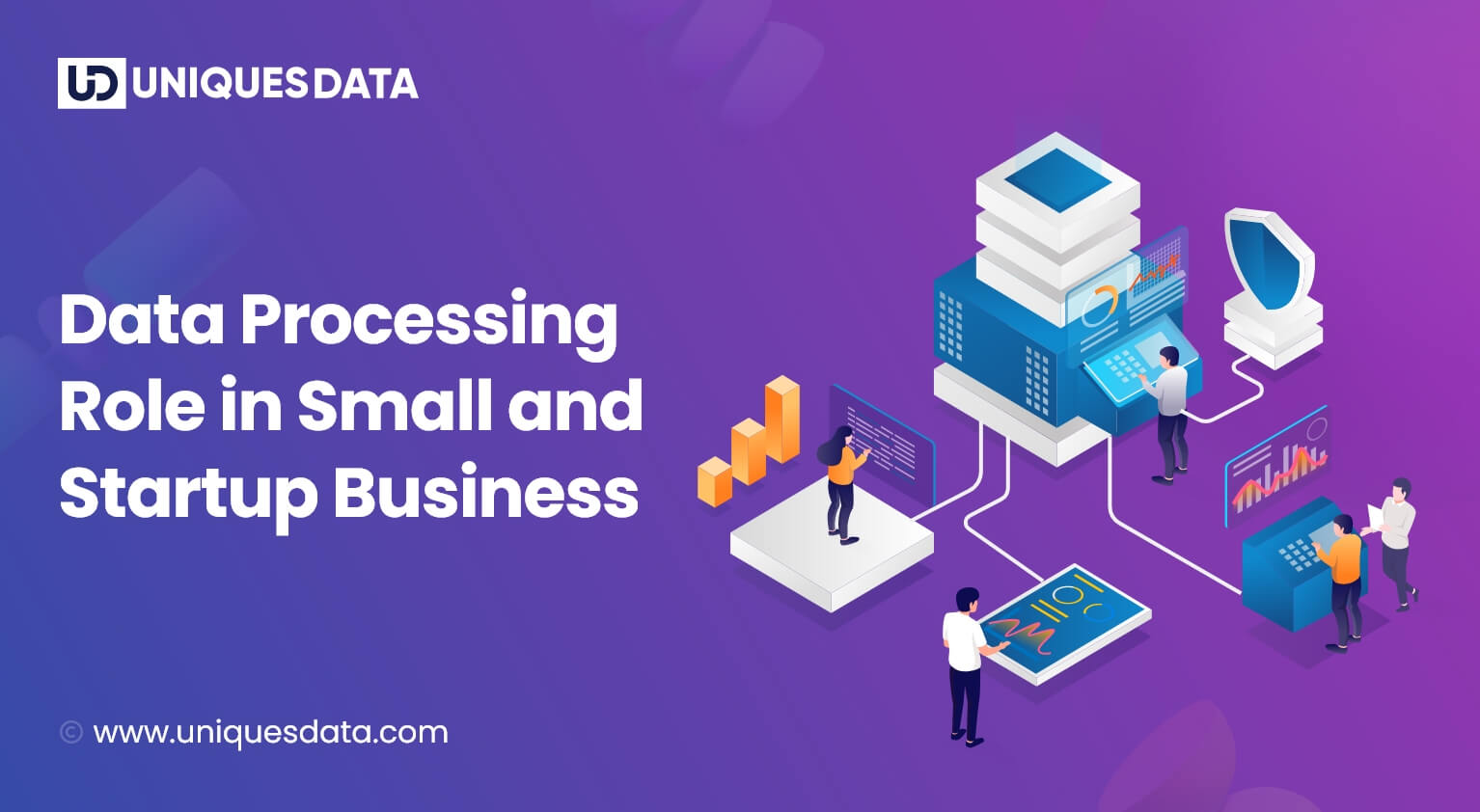 Data Processing Role in Small and Startup Business