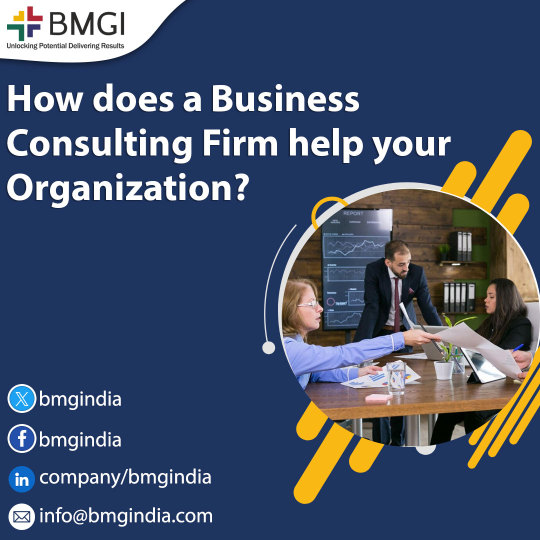 How does a Business Consulting Firm help your Organization? – Tech, Business, Digital Marketing, Lifestyle, Education Timtoo Blog