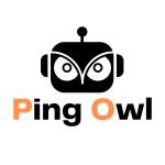 Ping Owl Profile Picture