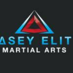 Casey Elite Martial Arts Profile Picture
