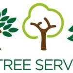 J M TREE SERVICES LIMITED Profile Picture