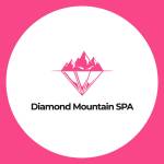 Diamond Mountain Spa Profile Picture