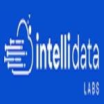 IntelliData Labs Profile Picture