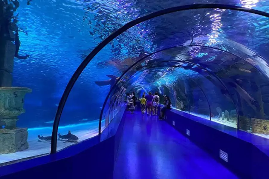 Borivali Underwater Aquarium Mumbai - Timing and Fees - Location