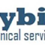 cybix technical services Profile Picture