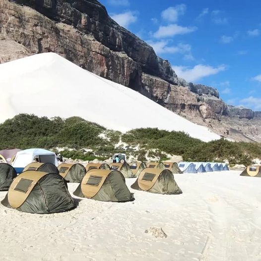 From Pristine Beaches to Dragon's Blood Trees: Socotra Travel Packages for Nature Lovers