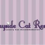 Bayside Cat Resort Profile Picture