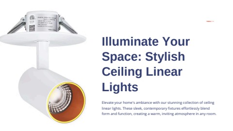 Illuminate Your Space Stylish Ceiling Linear Lights