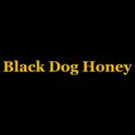 Black Dog Honey Profile Picture