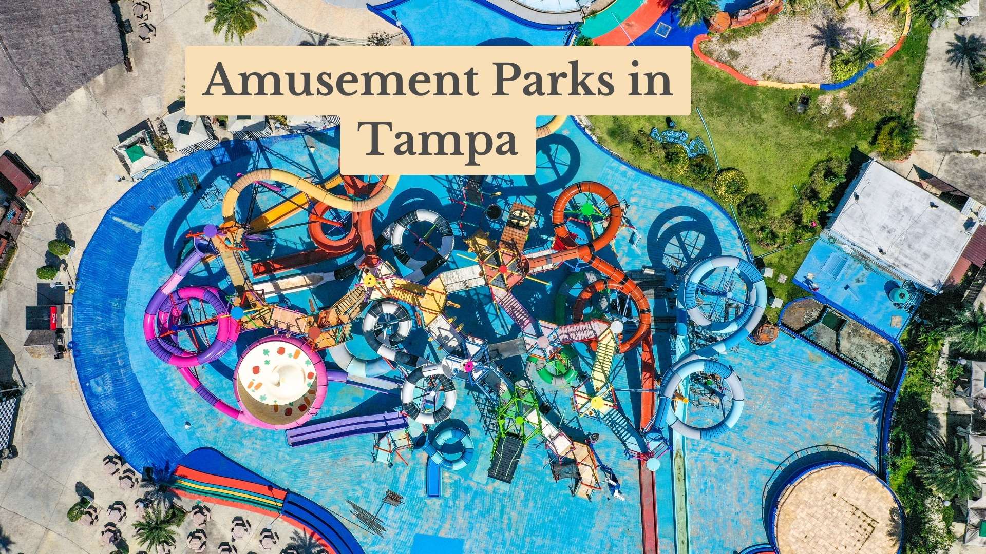 Thrills Await: 9 Best Amusement Parks in Tampa for 2024!