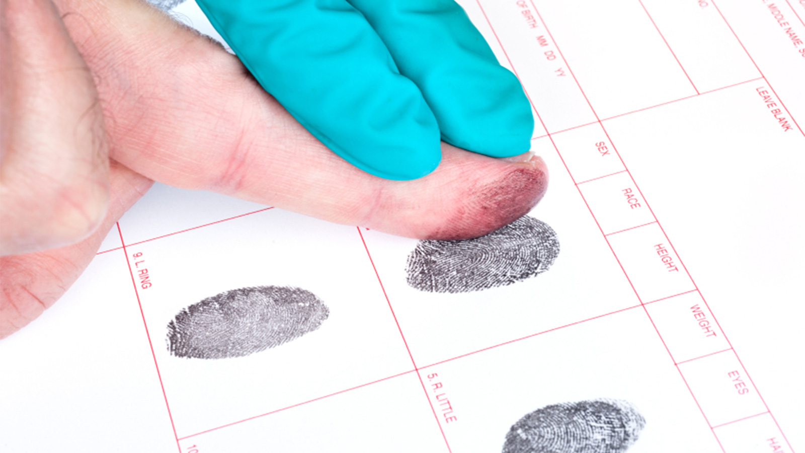 7 Key Steps for Effective Fingerprint-Based Background Screening - XuzPost » Tadalive - The Social Media Platform that respects the First Amendment - Ecommerce - Shopping - Freedom - Sign Up