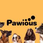 Pawious Brand Profile Picture