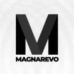 Magnarevo Digital Marketing Profile Picture